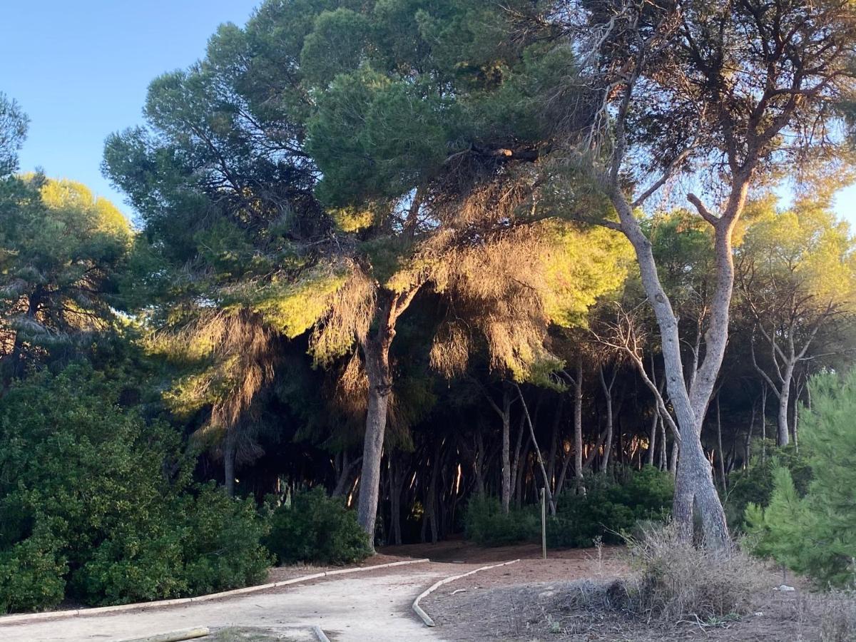 Apartamento Hermosa Glea Dehesa de Dehesa de Campoamor Exterior foto